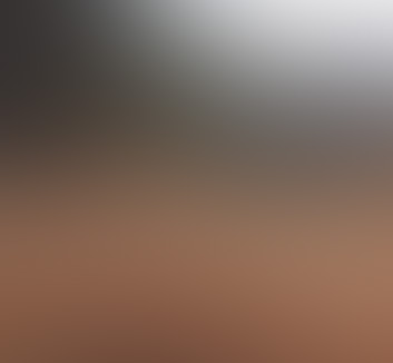 Apartment Terms and Conditions